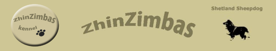 Zhinzimbas kennel – Shetland Sheepdog